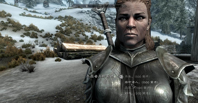 上古卷轴5炉火DLC 4