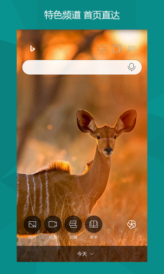 微软bing国内版 必应搜索引擎手机版下载