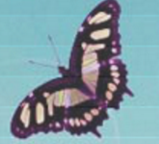 Flash MP3网页播放器