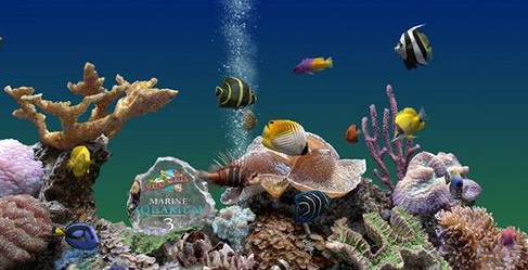 热带鱼屏幕保护 v3.3.6041 汉化免费版0