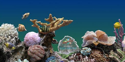 热带鱼屏幕保护 v3.3.6041 汉化免费版1