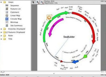 dnastar(dna分析软件) v7.1 免费版0