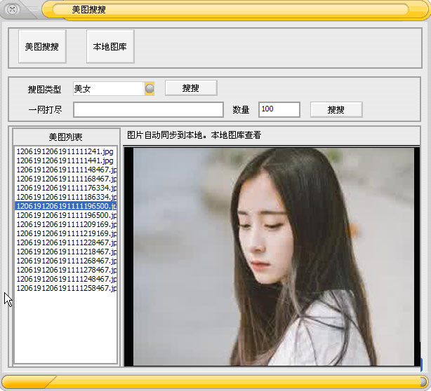 网络图片采集大师软件