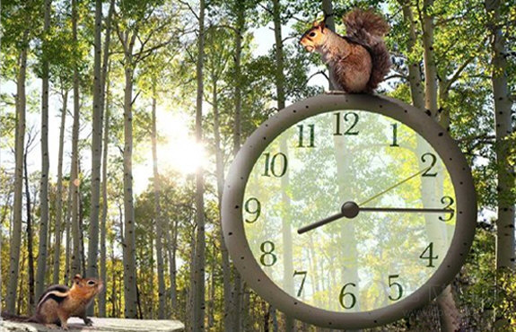 松鼠时钟屏保程序最新版 v2.1 绿色版1