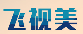 飞视美视频会议软件