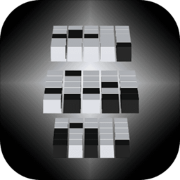 黑白无双最强大脑游戏