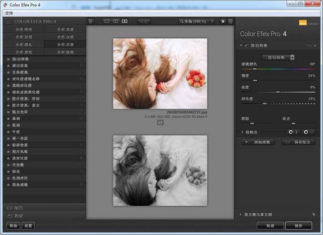 PS插件Nik Collection v1.2.11 中文版 0