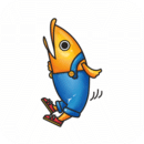 鱼先生的社区手机版