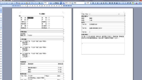 轻轻松松写简历