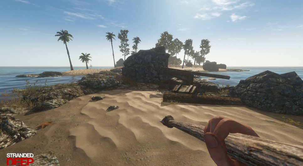 荒岛求生简体中文版 5