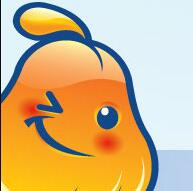 傻瓜进销存软件