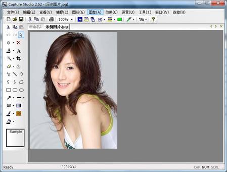 中华神捕电脑版