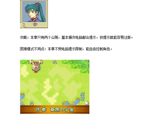 火焰纹章烈火之剑中文攻略 完美版0