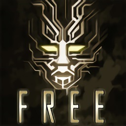 心灵危机中文版