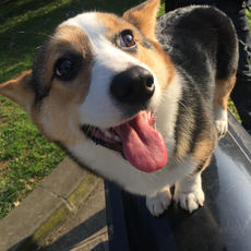 人汪交流器手机版下载