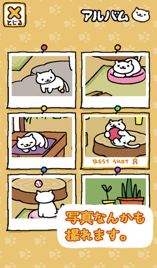 猫咪后院ios汉化版