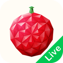 荔枝fm电脑直播助手