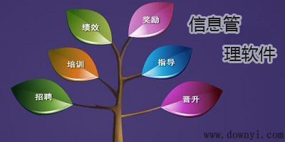 信息管理软件
