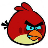 小鸟pt软件下载