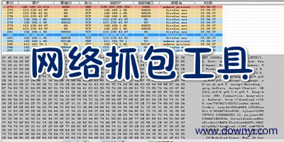 抓包工具