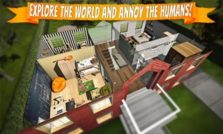 猫咪模拟最新版