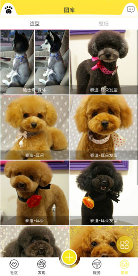 掌心宠物app v3.2.0 安卓版2