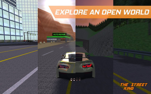 街头开放赛车手机版 v0.34 安卓版2