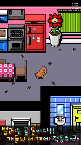 我当成一只小狗中文版