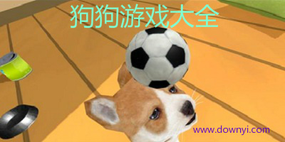 狗狗游戏