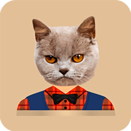 猫头贴纸(cat strickers)