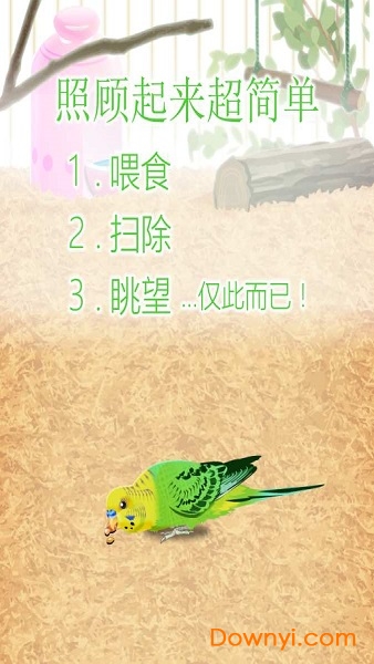 鹦鹉育成手游 v1.1 安卓版2
