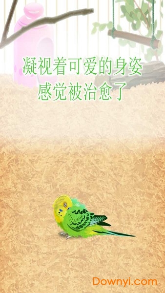 鹦鹉育成手游 v1.1 安卓版3