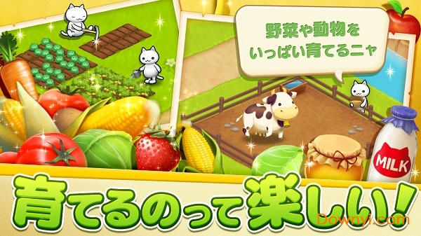 星星岛猫咪修改版 v2.1.2 安卓无限金币版 0