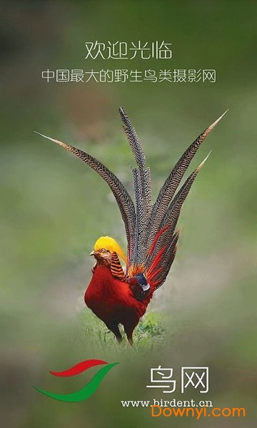 中国鸟网app v1.0.6 安卓版0