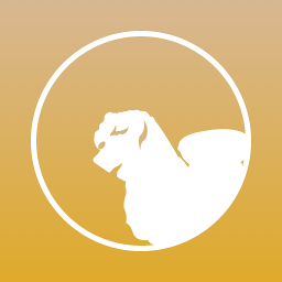 我的沧州最新版