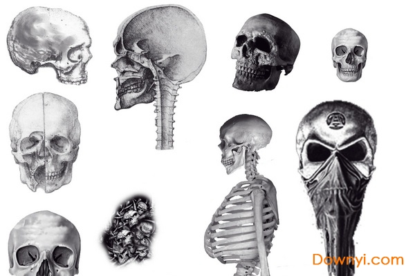 多款恐怖鬼怪骷髅ps笔刷