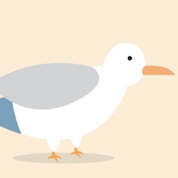 简单卡通鸽子图片