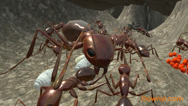 蚂蚁模拟3d游戏 v2.8.5 安卓版3