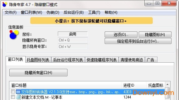 隐身专家软件 v4.7 绿色免费版 0