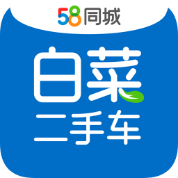 白菜二手车软件下载