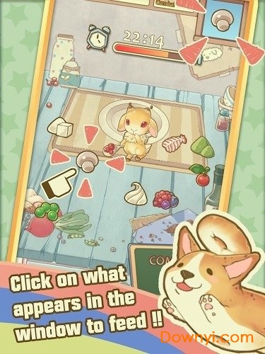 贝狗上菜中文修改版