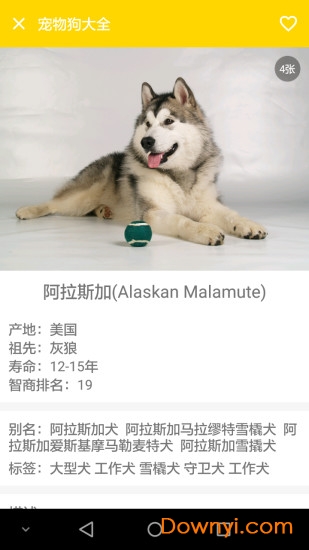 宠物狗大全app v2.131852 安卓版2