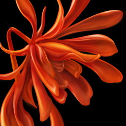 醉美南红手机版