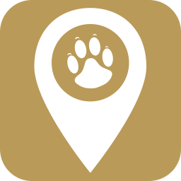 宠物智能伴侣软件下载