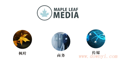 maple软件