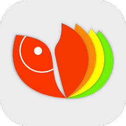 金鱼小说手机版