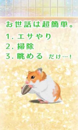 仓鼠养成汉化修改版 v2.1 安卓版2