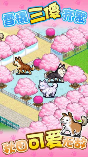 发现汪星人汉化修改版 v1.00 安卓内购版0