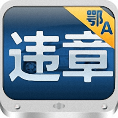 武汉车辆违章查询助手