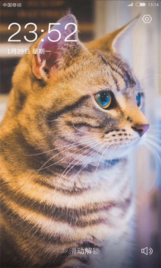 火萤组件最新版 v2.2.1 安卓版2